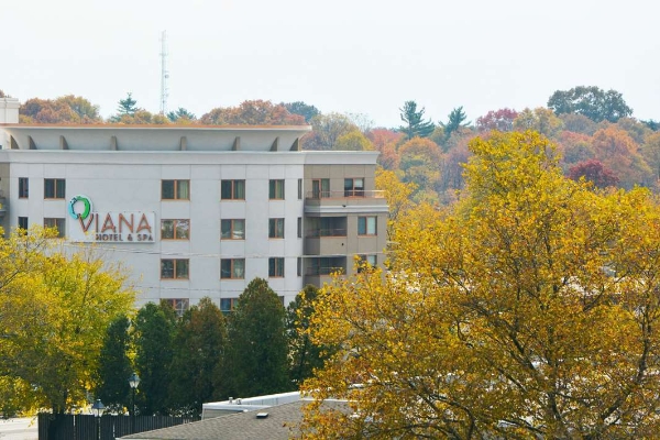 Viana Hotel & Spa